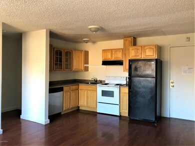 3400 Eureka St unit 210, Anchorage, AK 99503 - photo 3