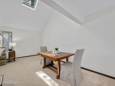 969 Collingwood Dr, Naperville, IL 60540 - photo 7