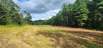91 Hawk Ridge Rd, Fraziers Bottom, WV 25082 - photo 4