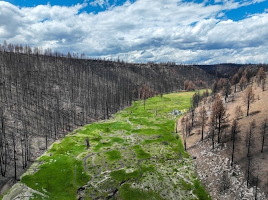 Forest Service Rd 3745, Burns, OR 97720 - photo 7