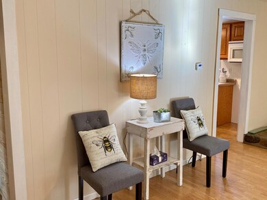 210 Second Ave, Clifton Forge, VA 24422 - photo 4