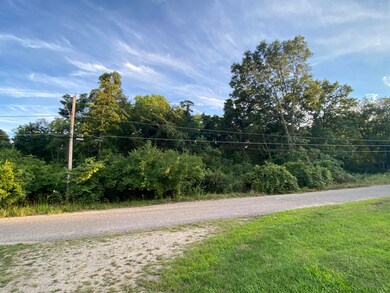 image_50429185