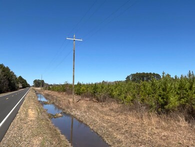 Northward view along the highway.
