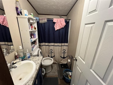 253 Carterville Heights Rd, Wytheville, VA 24382 - photo 7