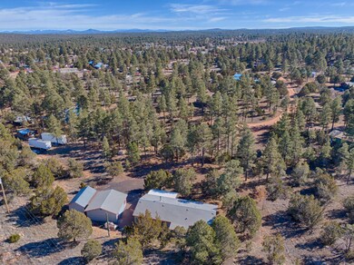Nestled in the Cool Tall Pines