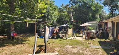 Back yard