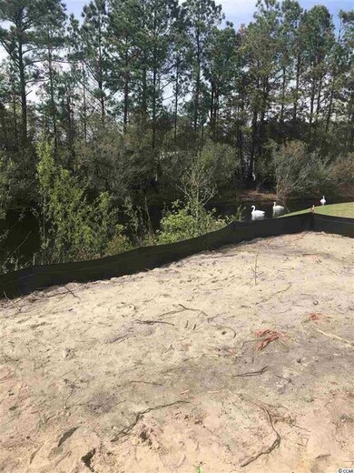 137 Astoria Park Loop unit Lot 10, Conway, SC 29526 - photo 6