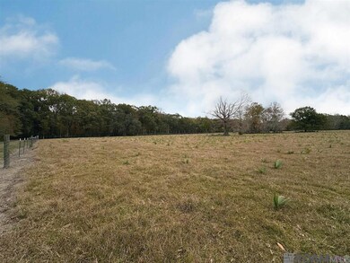45538 Doc Ln, Saint Amant, LA 70774 - photo 4