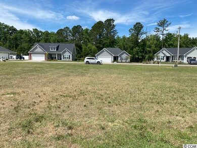 1137 Pecan Grove Blvd, Conway, SC 29527 - photo 6