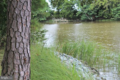 PARCEL 6D Chancellor Point Rd, 3, Trappe, MD 21673 - photo 3