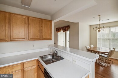 8903 Stone Creek Place unit 303, Pikesville, MD 21208 - photo 3