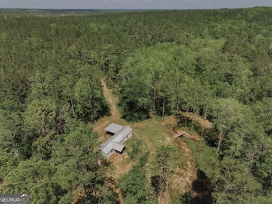 0 Dm Tillman, Baxley, GA 31513 - photo 5