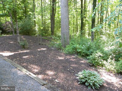 3018 White Beech Dr, Harwood, MD 20776 - photo 7