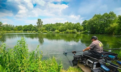 218 Louisiana Ave, Hawthorne, FL 32640 - photo 2