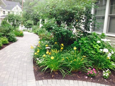 27 High St unit 27, Needham, MA 02494 - photo 6