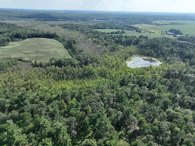 E853 Bestul Rd, Scandinavia, WI 54977 - photo 2