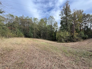 0 Cool Springs Rd unit RA20256983, Morgantown, KY 42261 - photo 3