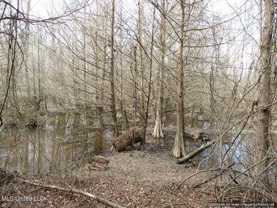 4. land-for-sale-mize-ms-smith-county-ms
