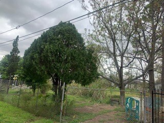 3015 Bringhurst St, Houston, TX 77026 - photo 3