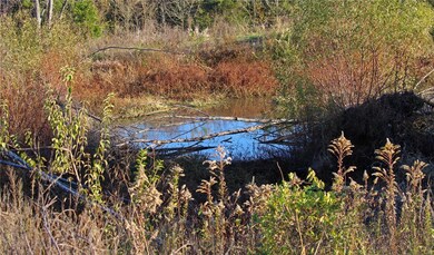 716 Creek Bend Crossing, Robertsville, MO 63072 - photo 5