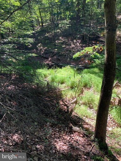 28 Timber Ridge Rd, Berkeley Springs, WV 25411 - photo 5