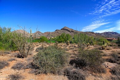 View from Homesite Facing NE
