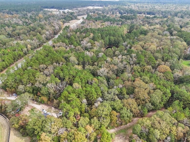 17278 & 17250 Farm To Market Road 2090, Conroe, TX 77306 - photo 4