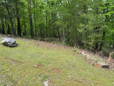 Lot 251 Owl Ridge Way, Jasper, GA 30143 - photo 6