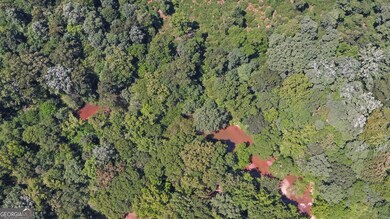 3439 TRACT 1 Providence Church Rd, Lavonia, GA 30643 - photo 6