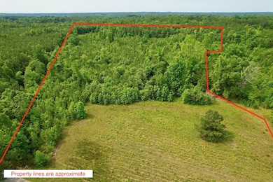 642 Grubby Rd, Wilsons, VA 23894 - photo 5