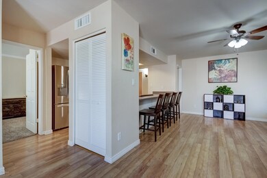 2739 W Jacinto Cir-11