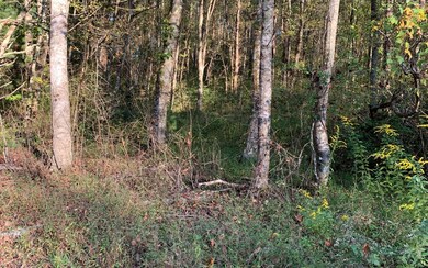 Additional View