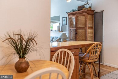 2818 Plover Dr unit 2A1, Ocean City, MD 21842 - photo 4