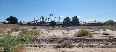 7026 Farm Rd, Las Vegas, NV 89131 - photo 5