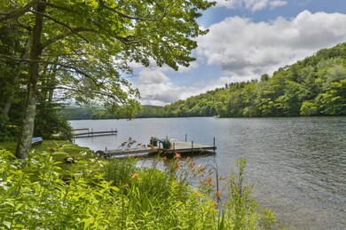 _DSC3985dockview