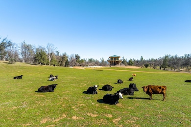 8499 Simmons Rd, Redding, CA 96001 - photo 5