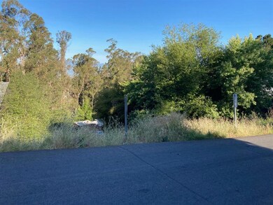 1436 Campus Dr, Berkeley, CA 94708 - photo 2