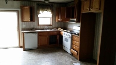 703 Kay St, Reed City, MI 49677 - photo 6