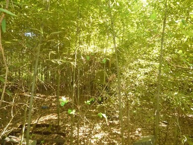 4004 Us Highway 98, McComb, MS 39648 - photo 5