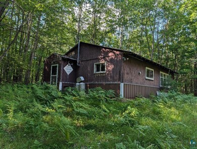 0000 Randysek Rd, Cable, WI 54821 - photo 3