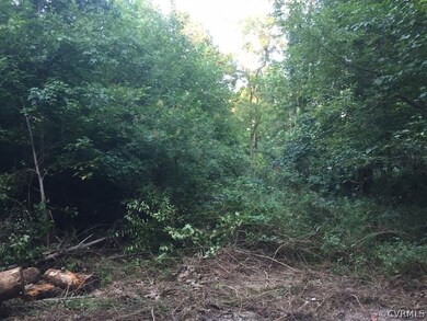 5234 Winterleaf Dr, Richmond, VA 23234 - photo 3