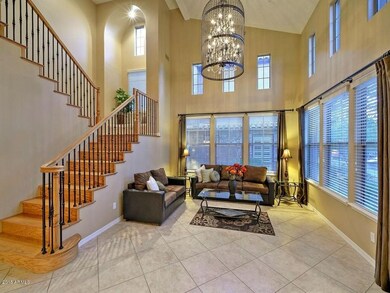 Lots of Windows for Natural Light