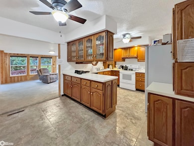 103 Pershing Ave, Lincoln, IA 50652 - photo 4