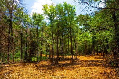 12524 Red Hill Rd, Hearne, TX 77859 - photo 5