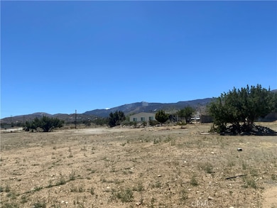 9980 Pionero Rd, Phelan, CA 92371 - photo 2