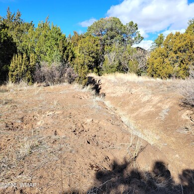 0 S Spanish unit 258796, Eagar, AZ 85925 - photo 2