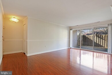 5612 Bloomfield Dr unit T3, Alexandria, VA 22312 - photo 7