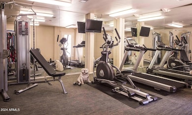 8450 N 67th Ave unit 2, Glendale, AZ 85302 - photo 4