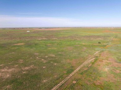 40_Acres_Stoker-4