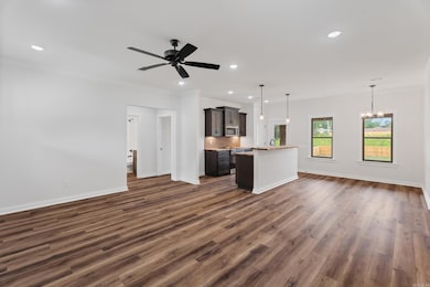 1001 N Red St, Sheridan, AR 72150 - photo 5